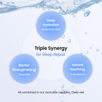 BIODANCE Bio-Collagen Real Deep Mask - ElectronicEssence