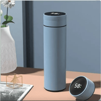 Smart Temperature Display Insulated Stainless Steel Cup - ElectronicEssence